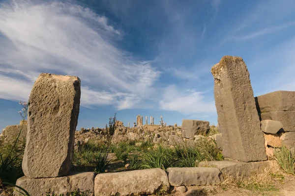 Parete di Volubilis, Marocco — Foto Stock