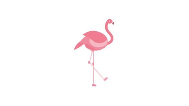 Canlı pembe flamingo zarif bir şekilde tek bacağının üzerinde duruyor, zarafeti ve dinamik hareketi minimalist ama büyüleyici bir şekilde canlandırıyor eğitici ve dekoratif kullanım için mükemmel..