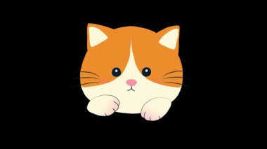 Fotoğraf, video ve medya prodüksiyon temaları için ideal şık, modern bir kamera simgesi.