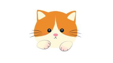 Fotoğraf, video ve medya prodüksiyon temaları için ideal şık, modern bir kamera simgesi.