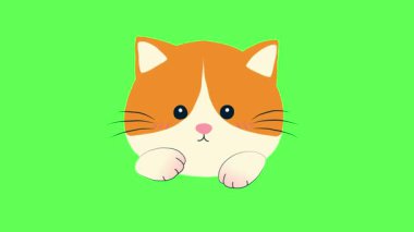 Fotoğraf, video ve medya prodüksiyon temaları için ideal şık, modern bir kamera simgesi.