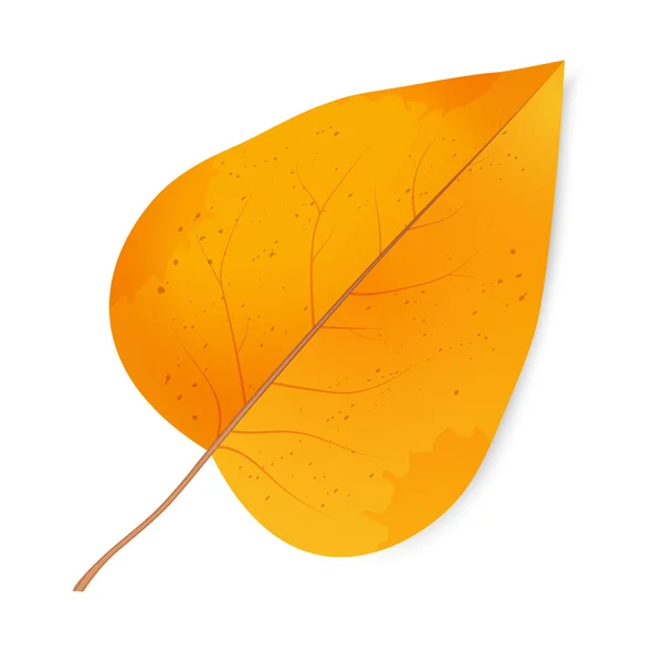 Herbstblätter des Flieders — Stockvektor