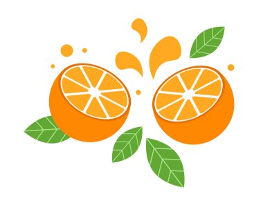 Beyaz arka planda sulu bir portakal kes. Yapraklı ve serpilmiş portakallar. Vektör illüstrasyonu