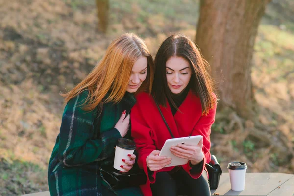 Dos chicas con gadget —  Fotos de Stock