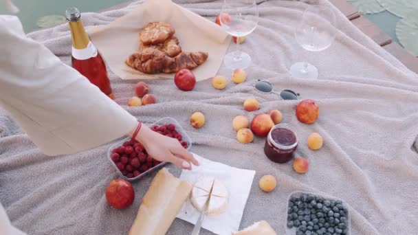 女性手的野餐套餐概览正在切碎奶酪 — 图库视频影像