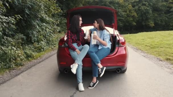 Novias disfrutando de aperitivos mientras acampan en un coche — Vídeos de Stock