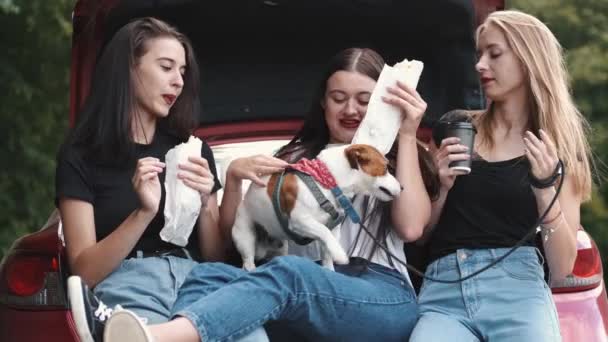 Namoradas desfrutando de lanches enquanto acampam em um carro — Vídeo de Stock