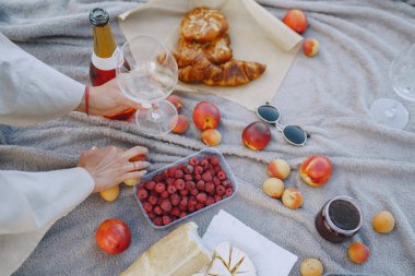 Battaniyede meyve, peynir ve şarap olan piknik seti.