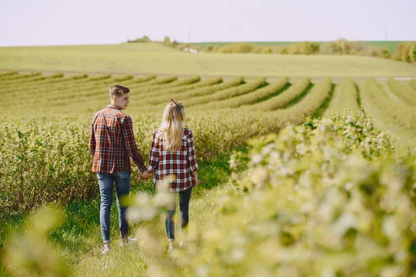 Young man and woman couple in a summer field — Stock Photo, Image
