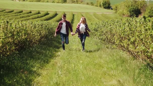 Férfi és nő a mezőn a tavasz napján. A szerelmesek a tavaszi mezőn töltenek egy kis időt. Fű a háttérben. — Stock videók