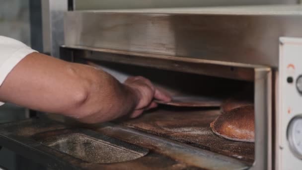 Baker homme vérifier la cuisson du pain au four — Video