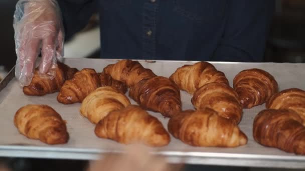 Frau in Handschuhen checkt frisch gebackene Croissants auf einem Blech — Stockvideo