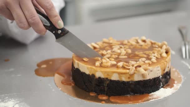 Kvinna skära kola grädde cheesecake med cashewnötter — Stockvideo