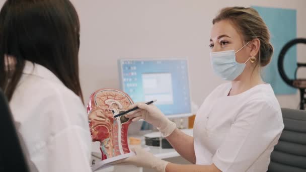 HNO-Arzt berät junge Patientin und zeigt anatomische Modelle — Stockvideo
