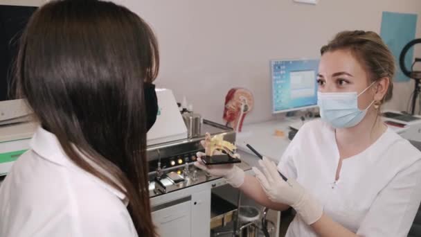 ENT arts raadpleegt vrouwelijke jonge patiënt en tonen anatomische modellen — Stockvideo
