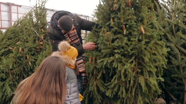 Happy family three choosing Christmas tree at market — Stock Video