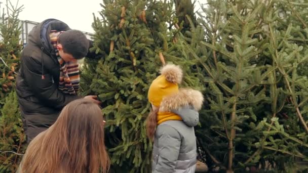 Счастливая семья три выбирая елку на рынке — стоковое видео