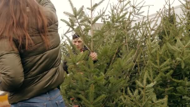 야외 시장에서 아이들과 함께 xmas 나무를 싸고 있는 가족 — 비디오