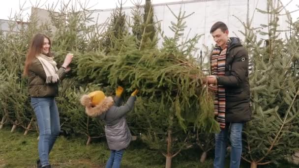 La famiglia ha comprato l'albero per Natale e lo porta a casa — Video Stock