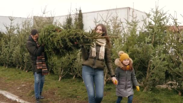 La familia ha comprado el árbol para Navidad y llevarlo a casa — Vídeos de Stock