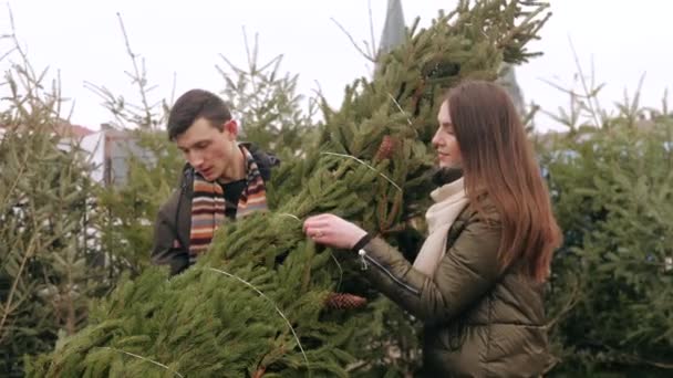 家族はクリスマスのために木を買って家に運んでいます — ストック動画