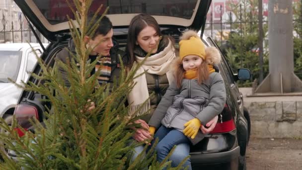 Family sitting in a car trunk with Christmaas tree — Stock Video