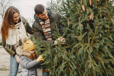 Aile Noel ağacı seçiyor