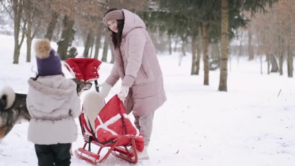 Moeder en dochter in slee wandelen in het park in de winter — Stockvideo