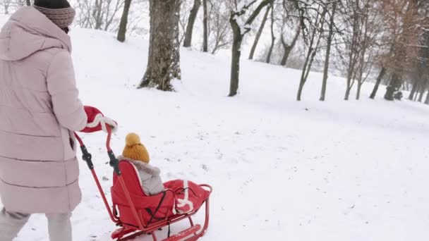 Mother and daughter in sledge walking in the park in winter — Stock Video