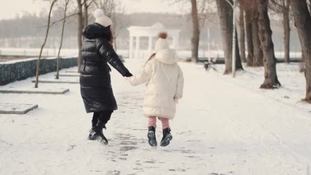 Anne ve kızı kış parkında el ele tutuşuyorlar. — Stok video
