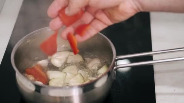 Människan kokande grönsaker förbereda dem för soppa i gryta pan — Stockvideo