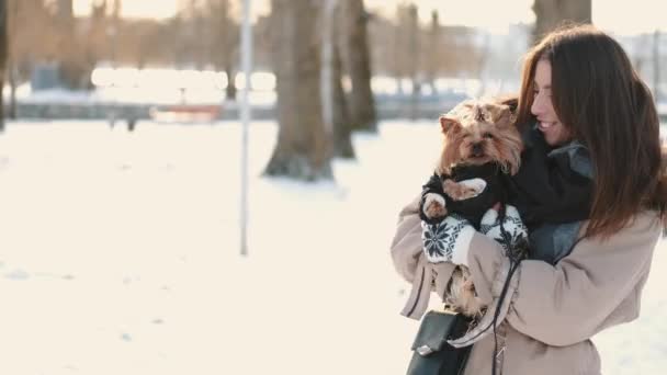 Щаслива молода дівчина власник з йоркширським тер'єром собака ходить в зимовому парку — стокове відео