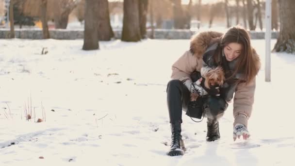 Gelukkig jong meisje eigenaar met yorkshire terrier hond wandelen in het winterpark — Stockvideo