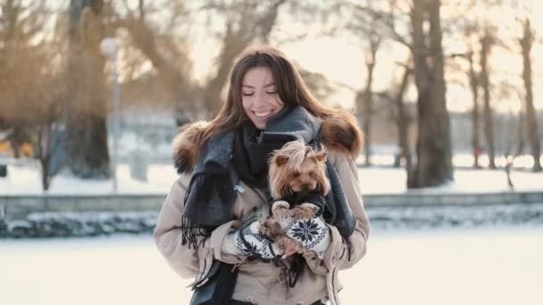 Happy młoda dziewczyna właściciel z yorkshire terrier pies spacery w parku zimowym — Wideo stockowe