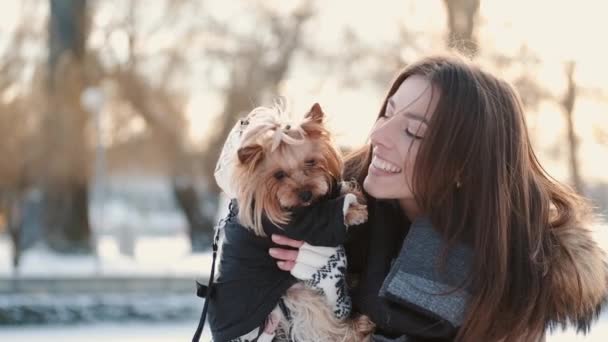 Glückliche junge Hundebesitzerin mit dem Hund des Yorkshire Terriers im Winterpark — Stockvideo