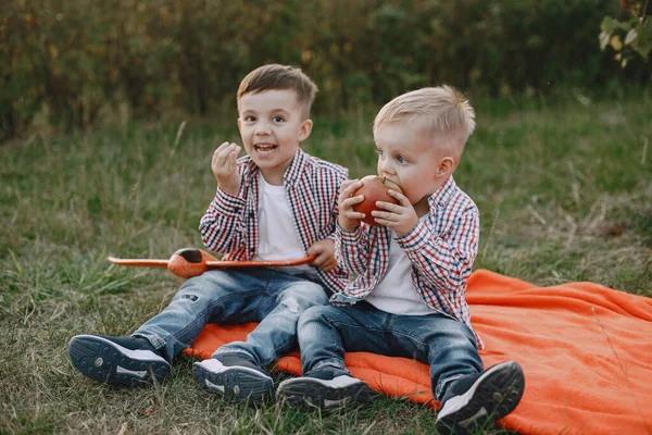 Två bröder som leker på ett sommarfält — Stockfoto