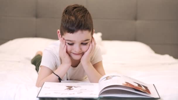 Klein schattig jongen lezen boek liggend op bed — Stockvideo