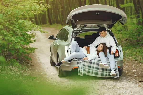 Couple in a forest sitting in a trunk — Stock Photo, Image