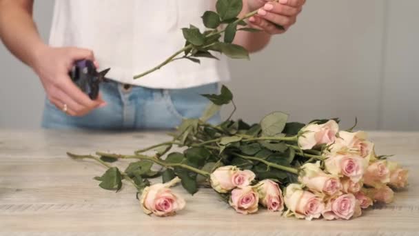 꽃 가게에서 장미를 따고 분류하는 여자 — 비디오