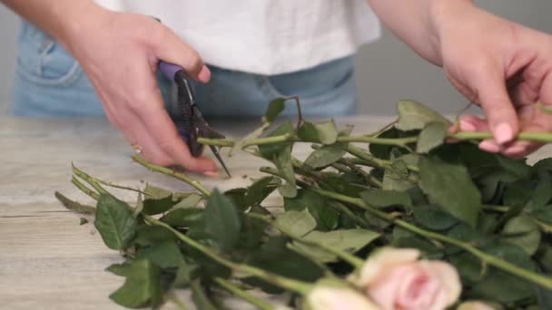 Woman ctting and sorting roses in flower shop — Stock Video