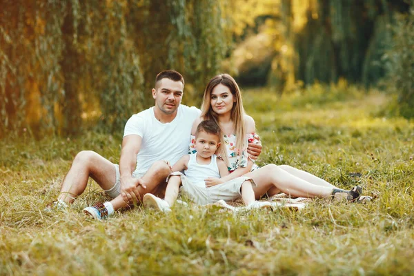 夏の公園で遊ぶかわいい家族 — ストック写真