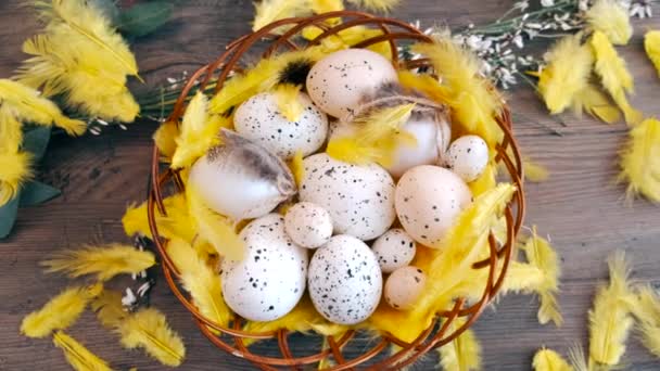 Пасхальні яйця в кошику, пір'я падає — стокове відео