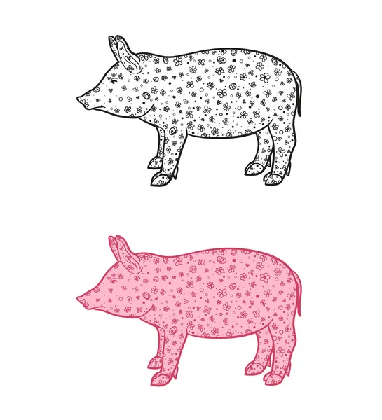 猪在白色 在孤立的背景下手绘抽象的动物 抽象华丽的性格 不同的颜色选择 — 图库矢量图片