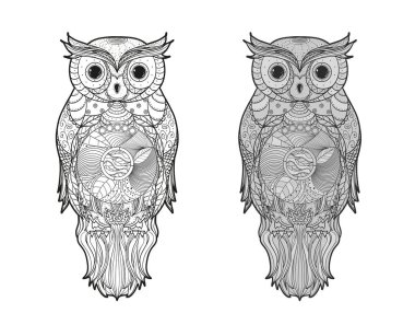 İzole edilmiş beyazda baykuş. İzolasyon arka planında ayrıntılı el çizimi kuş. Soyut süslemeli karakter. Farklı renk seçenekleri. Siyah beyaz illüstrasyon