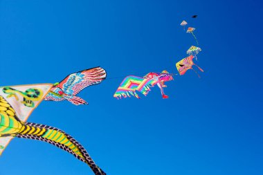 Uçurtma gökyüzünde uçuyor