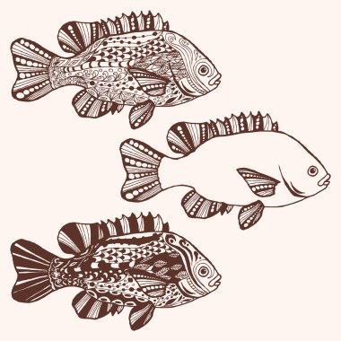 Balık. Etnik doodle desenli fantezi çizilmiş balık. 