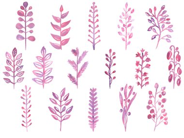 Suluboya çiçekli dallar kümesi