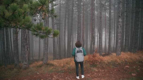 Una giovane donna in piedi su un sentiero a guardare le conifere e godersi la vista — Video Stock