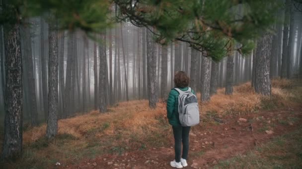 Una giovane donna in piedi su un sentiero a guardare le conifere e godersi la vista — Video Stock
