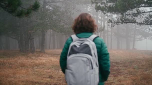 Une jeune femme avec un sac à dos marchant le long d'un chemin dans le parc à une forêt brumeuse — Video